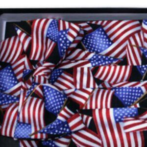 FLAGS R' FLYIN PLEATED CUMMERBUND & BOW TIE SET